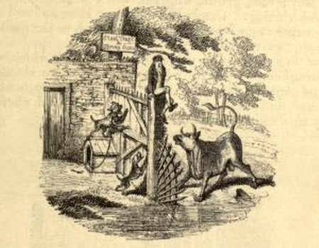 anillustration by George Cruikshank from a work entitled Three Courses and a Dessert